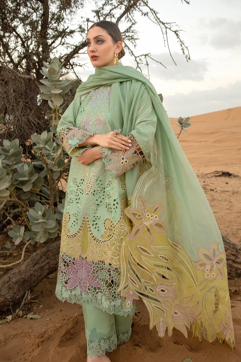 Rang Rasiya Premium Lawn Collection 2024 – Elnaz